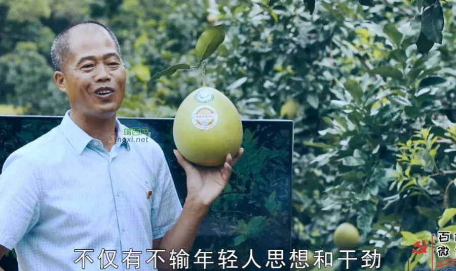 靖西市：下足“三个功夫” 打造“精品微课” - 靖西市·靖西网