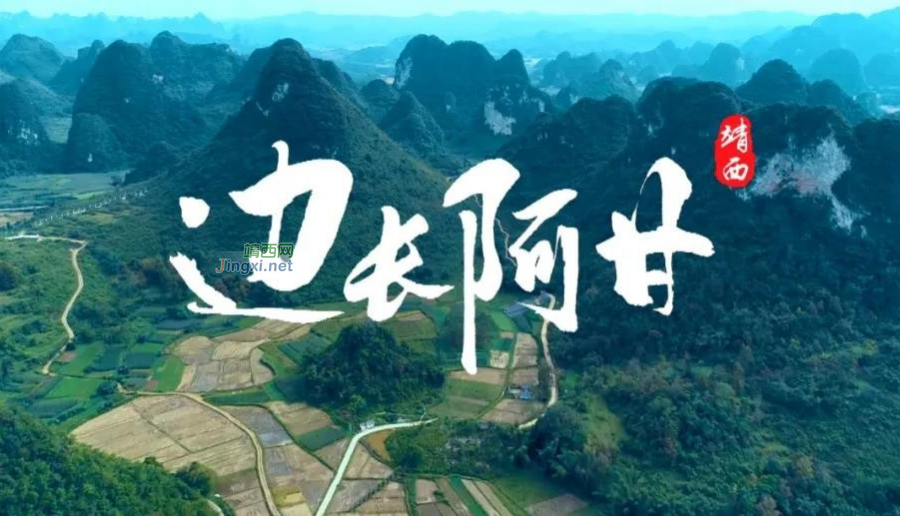 靖西市：下足“三个功夫” 打造“精品微课” - 靖西市·靖西网