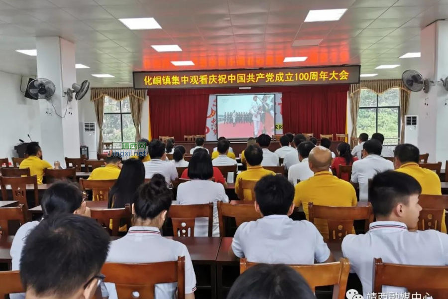 庆祝中国共产党成立100周年大会在靖西党员干部中引起强烈反响 - 靖西市·靖西网