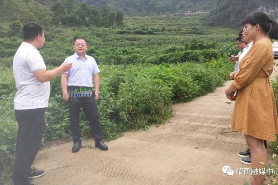 靖西市乡村振兴工作队到安宁乡开展走访调研工作 - 靖西市·靖西网