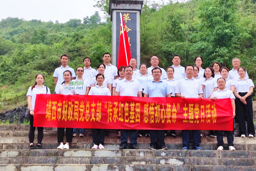 靖西市各级党组织庆祝中国共产党成立100周年 - 靖西市·靖西网