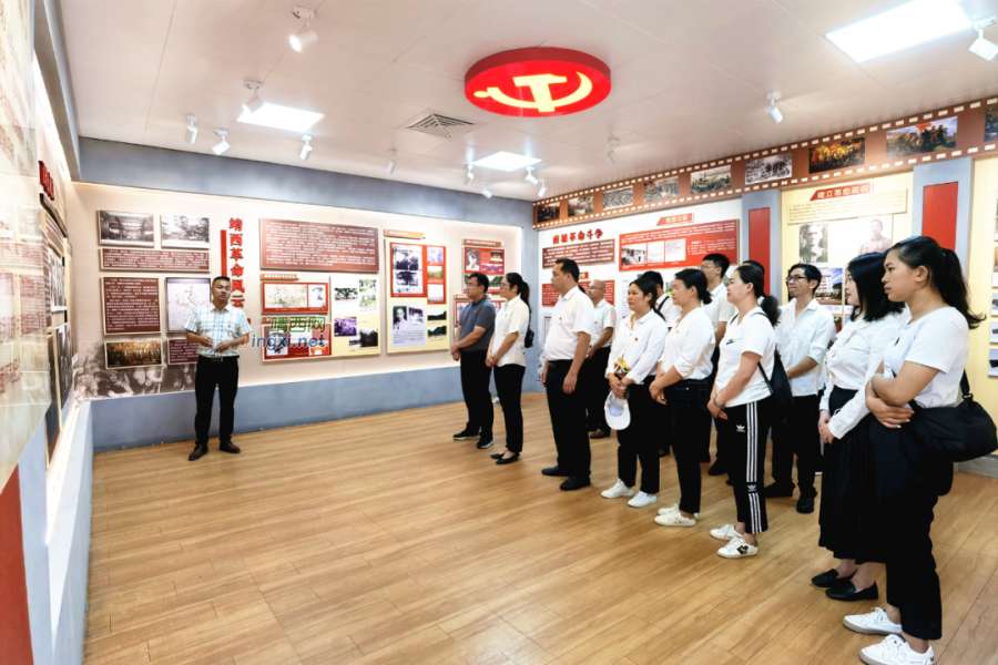 靖西市各级党组织庆祝中国共产党成立100周年 - 靖西市·靖西网