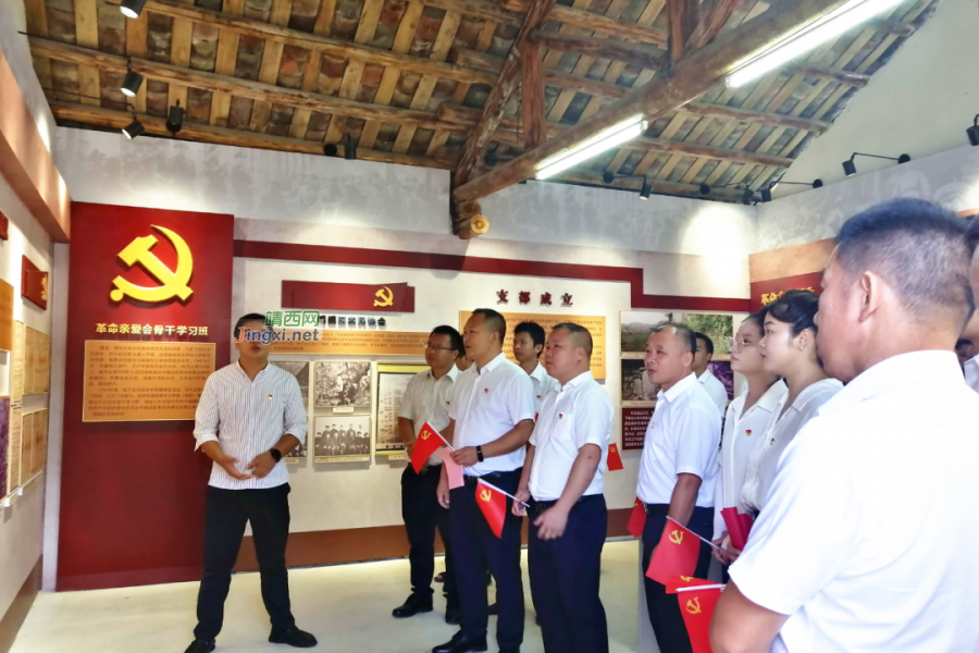 靖西市各级党组织庆祝中国共产党成立100周年 - 靖西市·靖西网