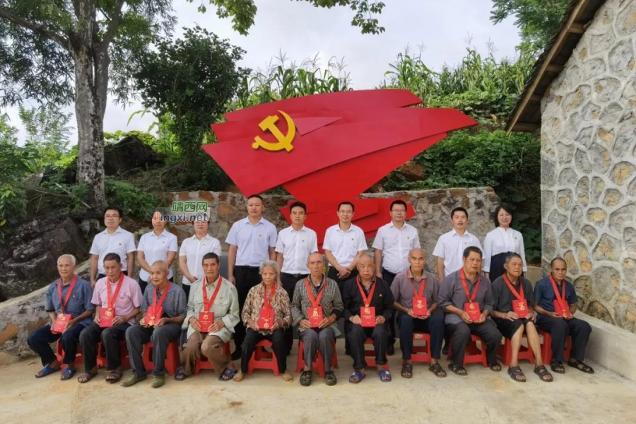 靖西市各级党组织庆祝中国共产党成立100周年 - 靖西市·靖西网