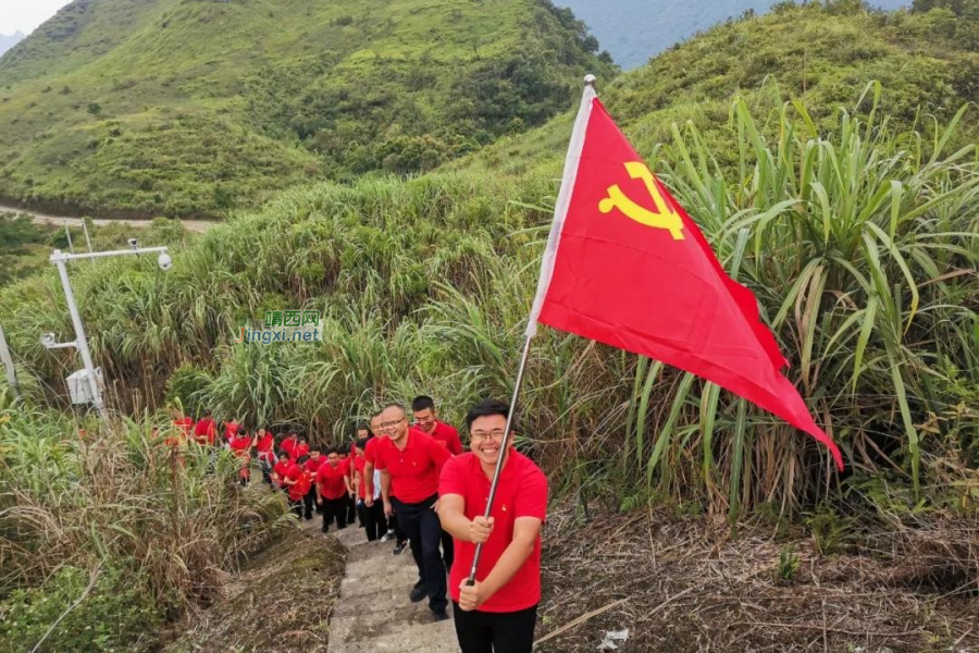 靖西市委组织部开展“七一”建党100周年主题党日活动 - 靖西市·靖西网