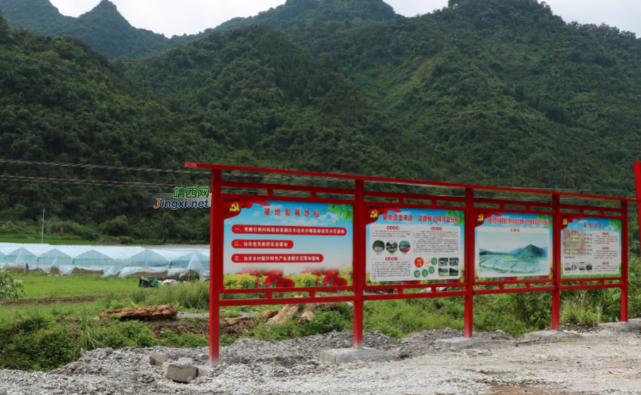 靖西市委组织部开展“七一”建党100周年主题党日活动 - 靖西市·靖西网