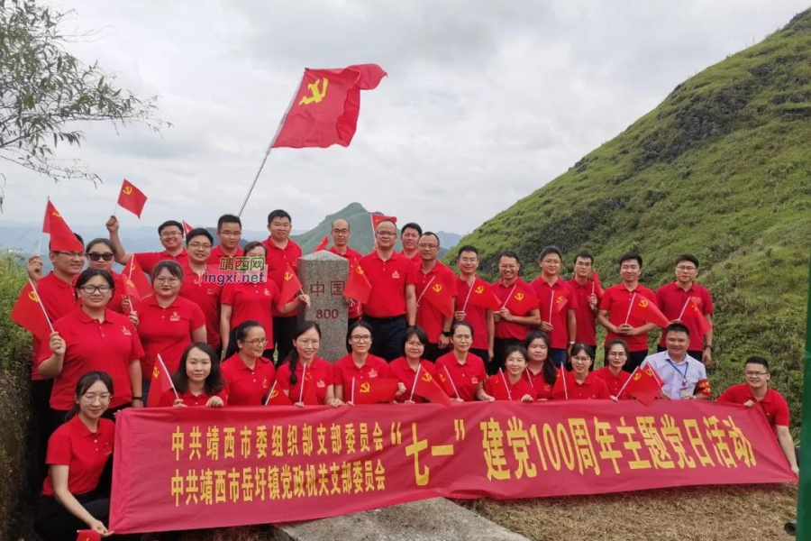 靖西市委组织部开展“七一”建党100周年主题党日活动 - 靖西市·靖西网