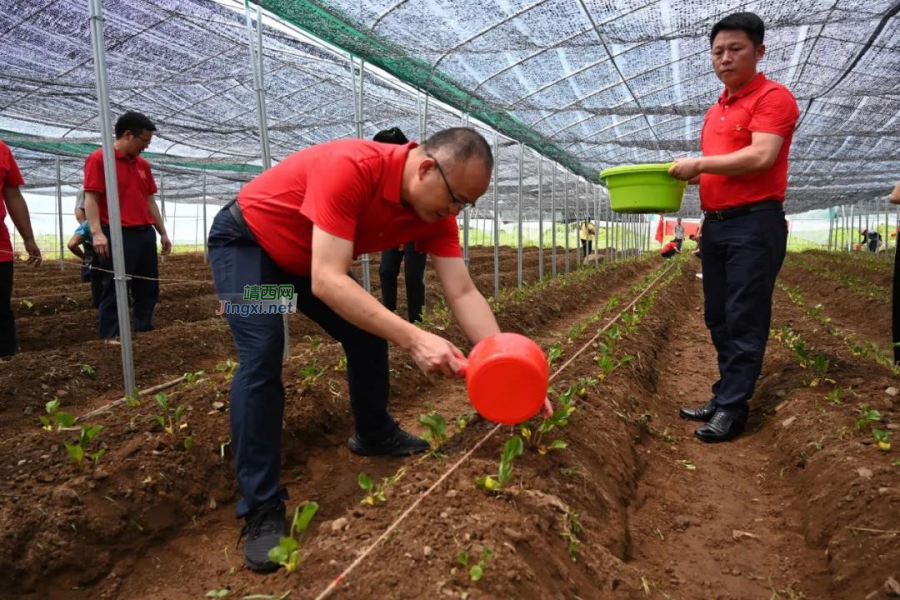 靖西市委组织部开展“七一”建党100周年主题党日活动 - 靖西市·靖西网