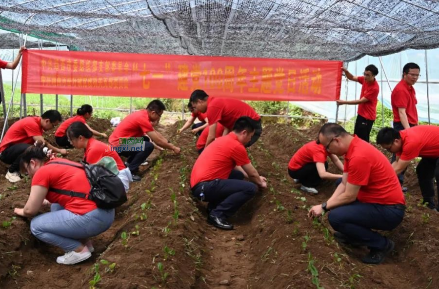 靖西市委组织部开展“七一”建党100周年主题党日活动 - 靖西市·靖西网