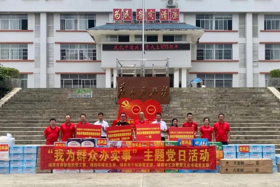 靖西市委组织部开展“七一”建党100周年主题党日活动 - 靖西市·靖西网