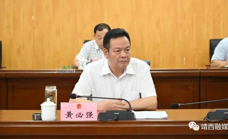 靖西市召开市、乡人大换届选举工作推进（扩大）会 - 靖西市·靖西网