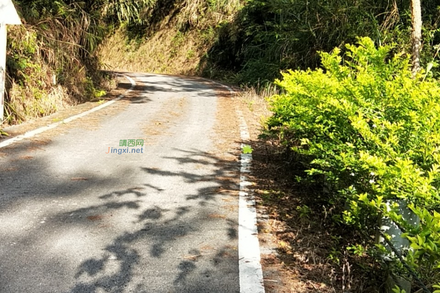 本该好好休息的周末，我却选择“追梦” - 靖西市·靖西网