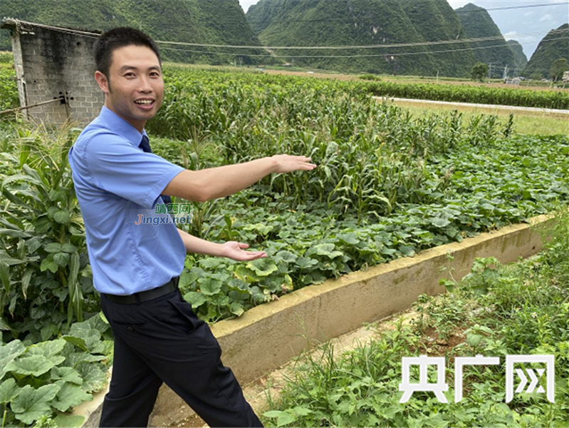 靖西一村民养殖生猪数量100多头，因养殖场排污、废弃物不及时！结果.... - 靖西市·靖西网