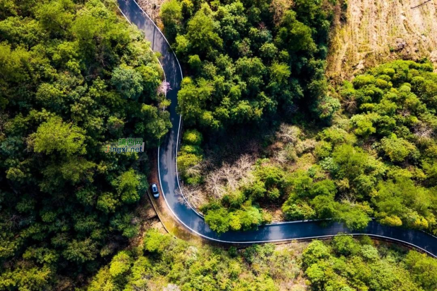 原代号为S325的中越边境沿边公路，你晓得吗？ - 靖西市·靖西网