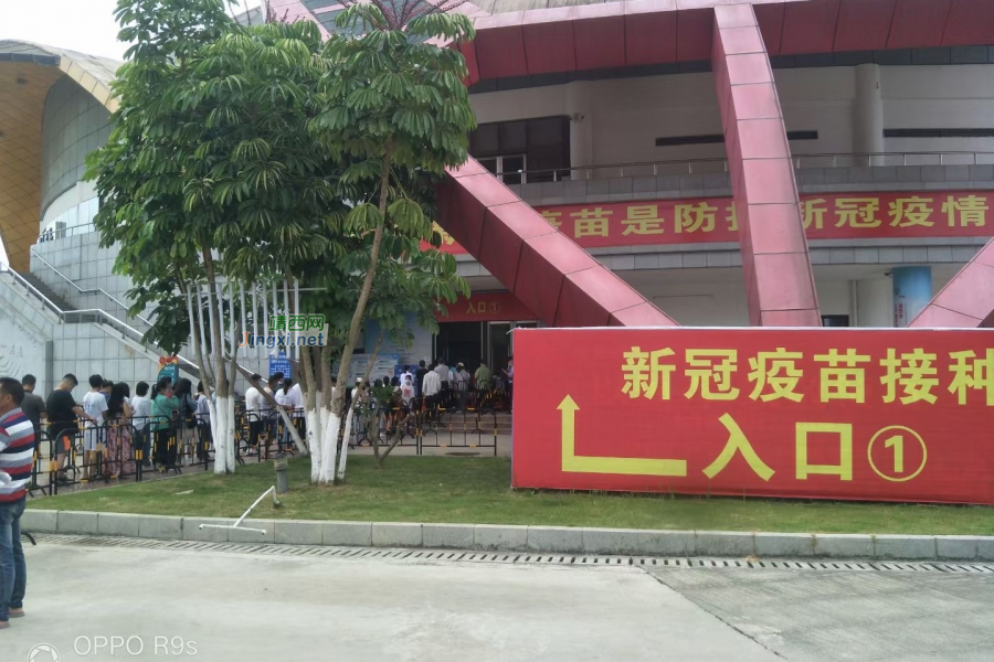 15~17岁的可以去靖西体育馆接种疫苗 - 靖西市·靖西网