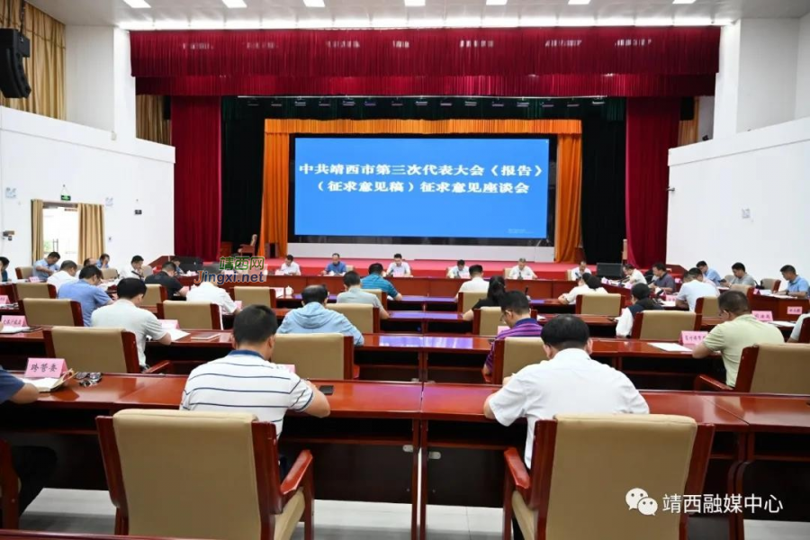 靖西市召开中共靖西市第三次代表大会《报告》（征求意见稿）征求意见座谈会 - 靖西市·靖西网