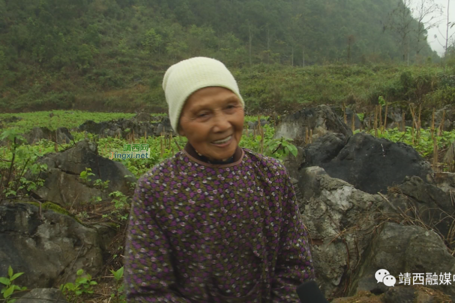 靖西市南坡乡老党员黄文学——乡亲们的致富“主心骨” - 靖西市·靖西网