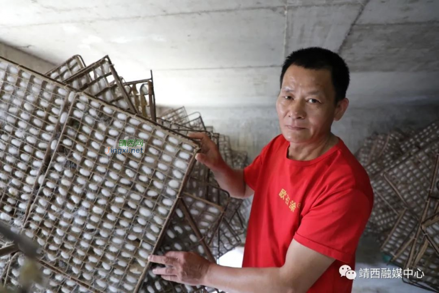 靖西市南坡乡老党员黄文学——乡亲们的致富“主心骨” - 靖西市·靖西网