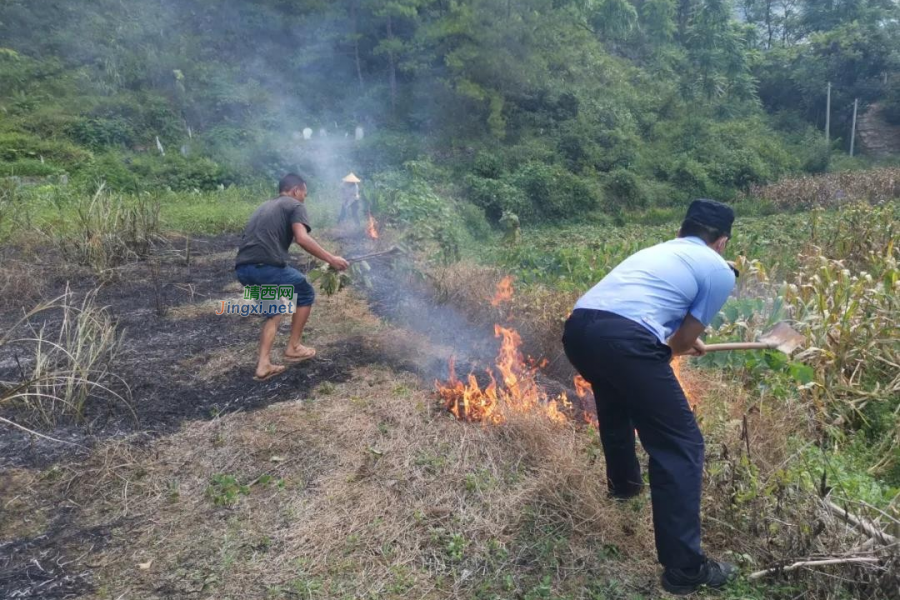 靖西一村民焚烧秸秆引火灾 龙邦边检民警扑救获好评 - 靖西市·靖西网