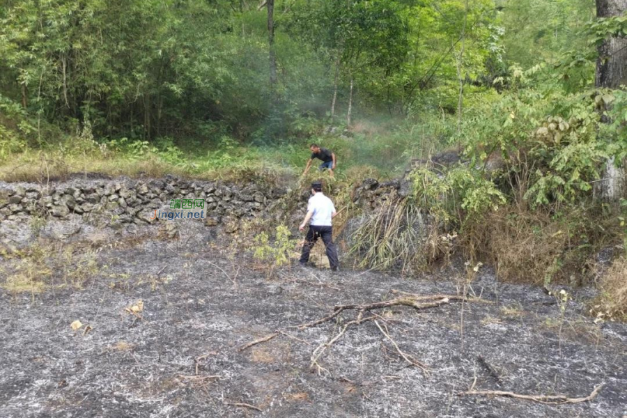 靖西一村民焚烧秸秆引火灾 龙邦边检民警扑救获好评 - 靖西市·靖西网