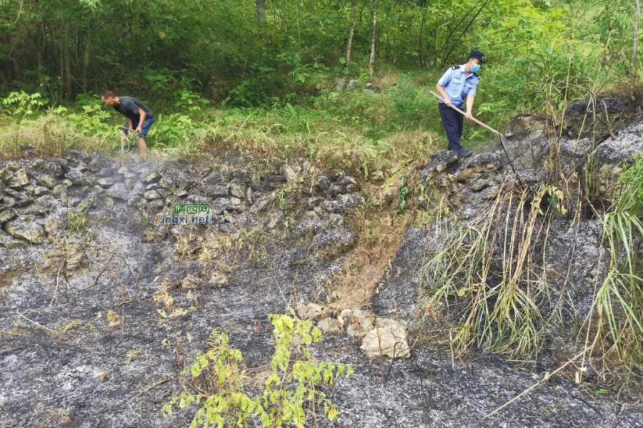 靖西一村民焚烧秸秆引火灾 龙邦边检民警扑救获好评 - 靖西市·靖西网