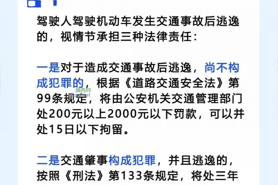 也算逃逸！女子：别人撞我车，以为不是我责任…… - 靖西市·靖西网