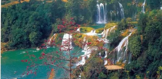 不得了！靖西这个镇出名了！是你的家乡吗？ - 靖西市·靖西网