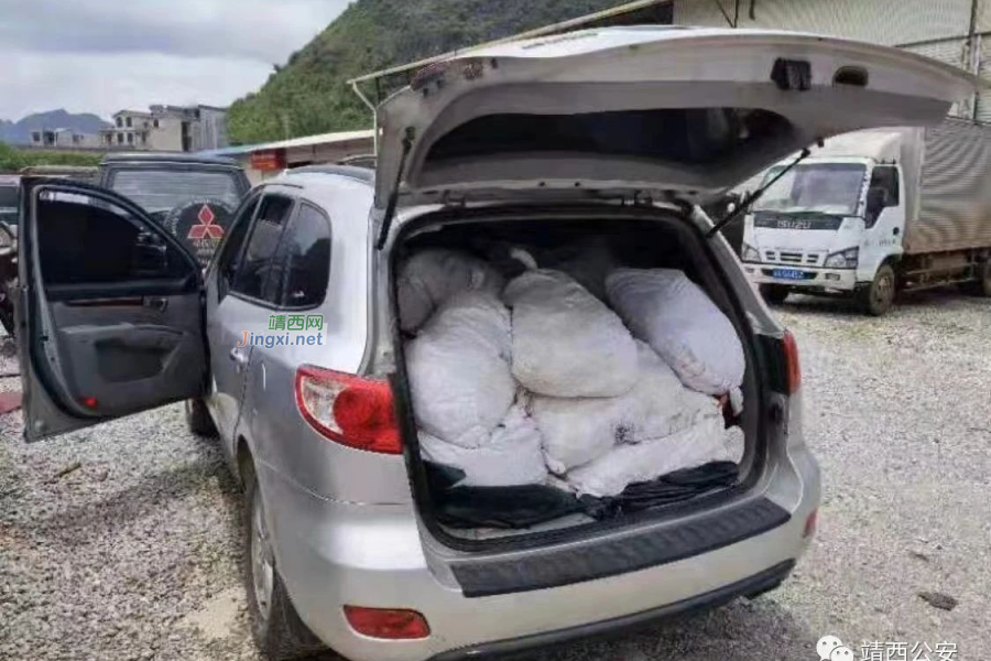 打击偷渡走私违法犯罪零容忍！靖西警方掀起打击妨害国（边）境管理犯罪新高潮 - 靖西市·靖西网