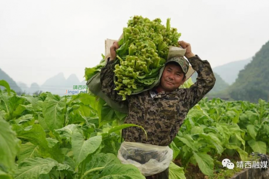 靖西：勇担使命铸辉煌&nbsp;&nbsp;奋楫扬帆开新局 - 靖西市·靖西网