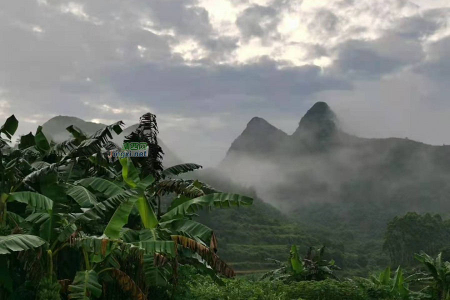 靖西山村晨景，绘出水墨丹青 - 靖西市·靖西网