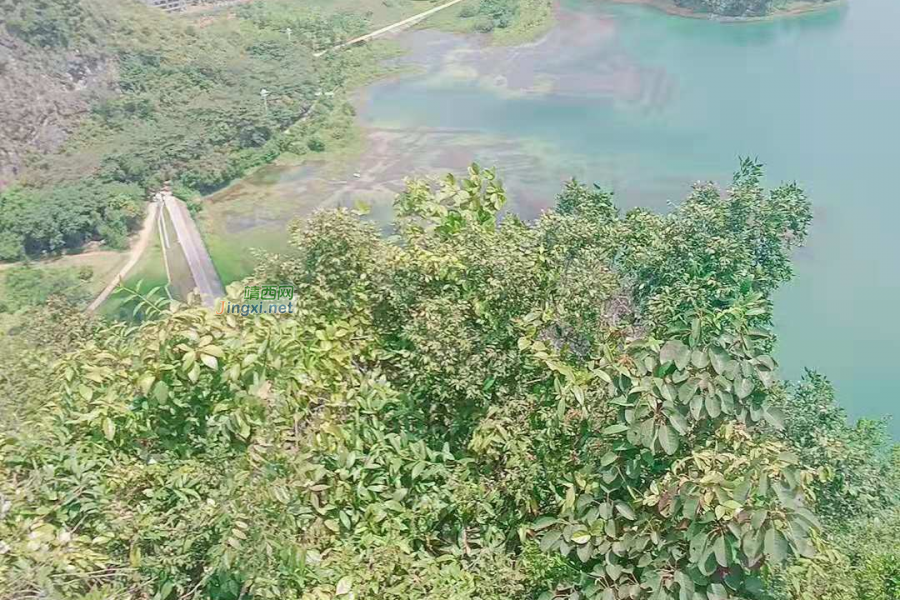 靖西表哥，一起上金山抗日咯 - 靖西市·靖西网