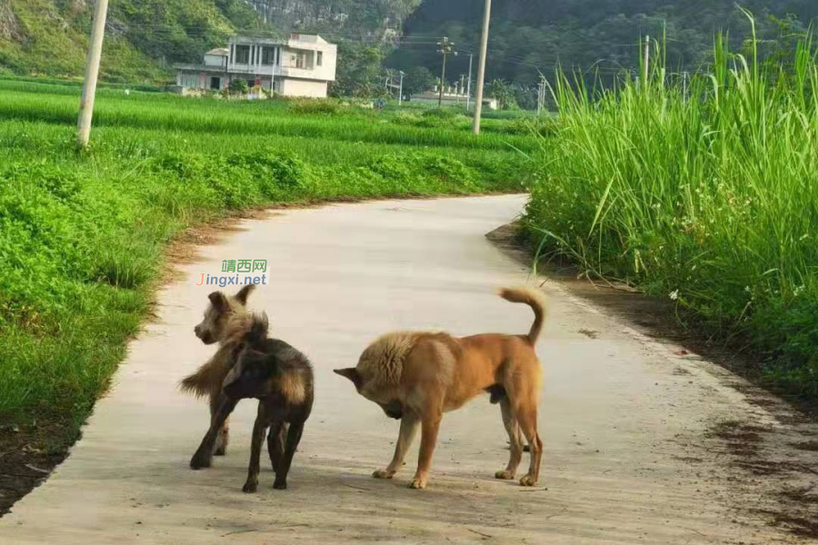 周末的美好时光 - 靖西市·靖西网