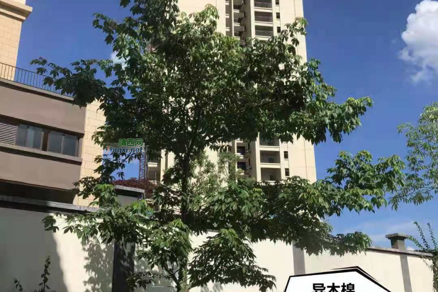 靖西市长丰国际业主群，欢迎家人们加入 - 靖西市·靖西网