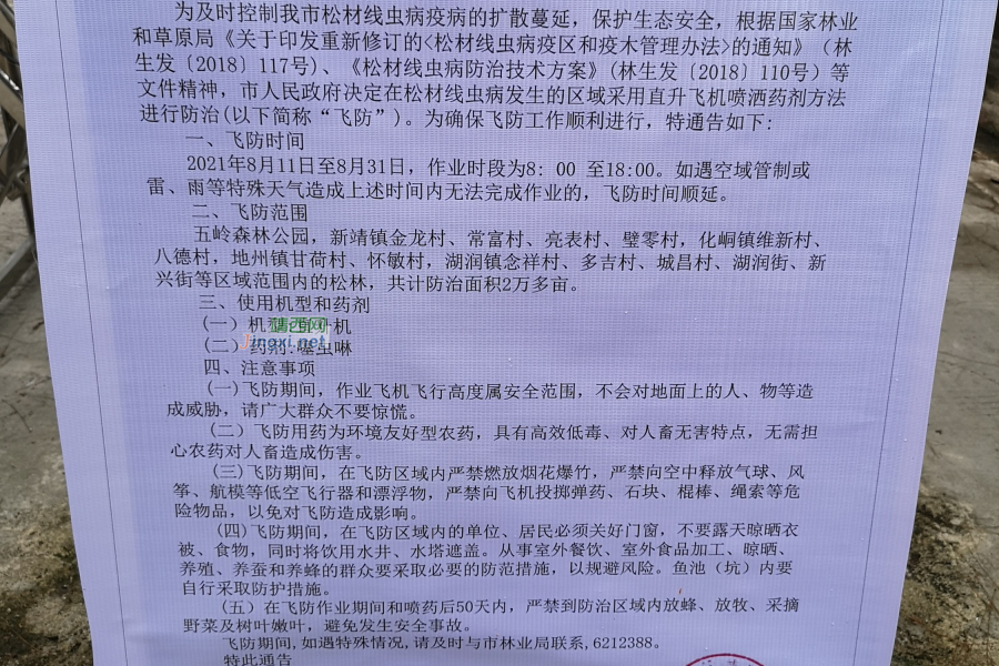 靖 西 市 人 民 政 府 关于采用飞机防治松材线虫病的通告 - 靖西市·靖西网