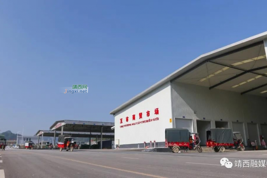 龙邦口岸抵疫前行 稳步推进靖西市外贸发展 - 靖西市·靖西网
