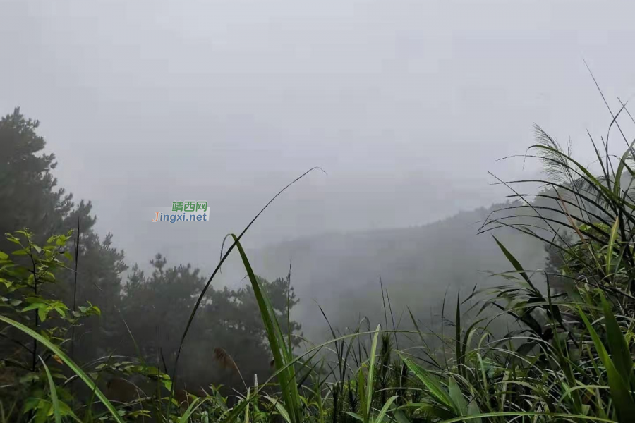 美吧，这雾、这山、还有这车 - 靖西市·靖西网