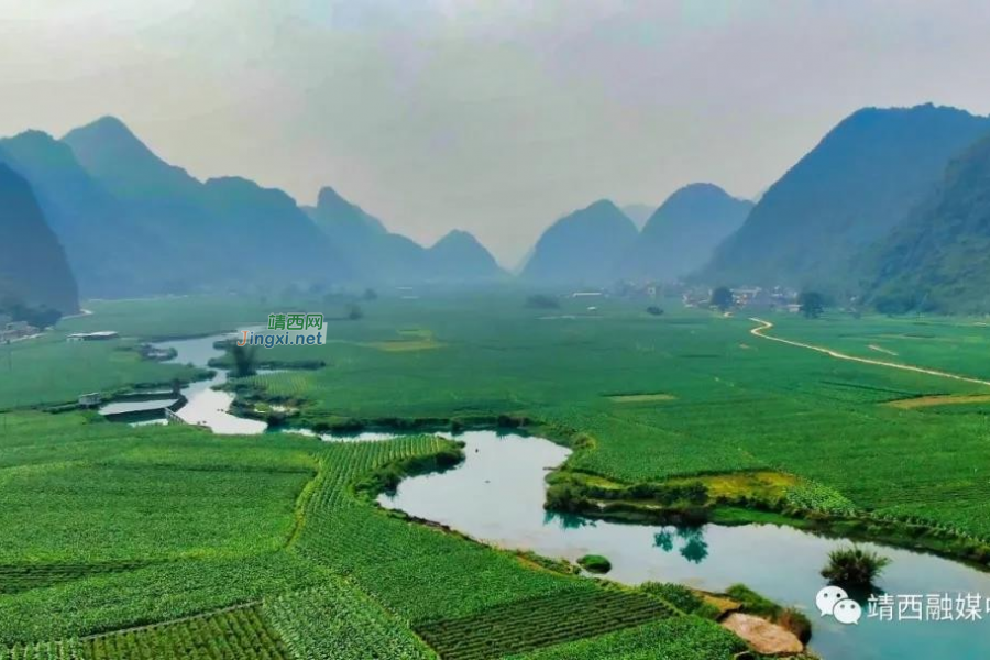 靖西：稳中求进，经济综合实力显著提升 - 靖西市·靖西网