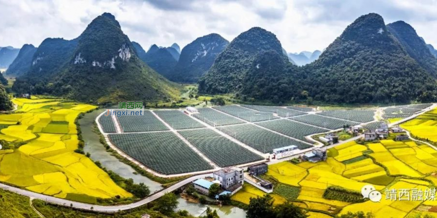 靖西：稳中求进，经济综合实力显著提升 - 靖西市·靖西网