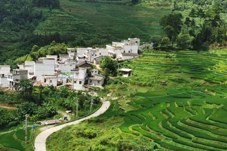 每日靖西图片8.18—把择村 - 靖西市·靖西网