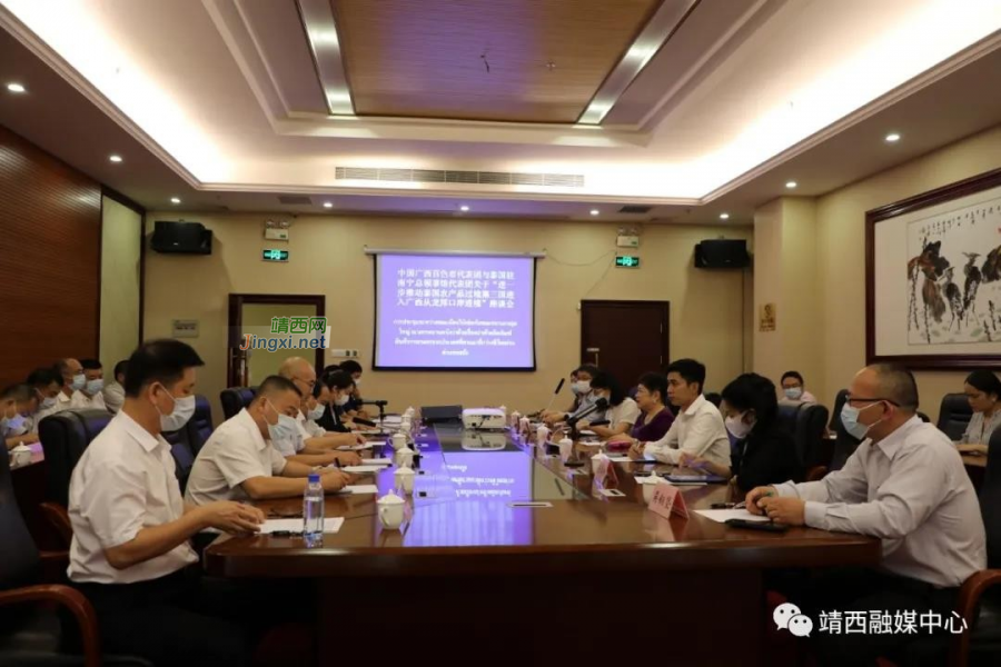 泰国驻南宁总领事馆代表团到靖西开展考察工作 - 靖西市·靖西网