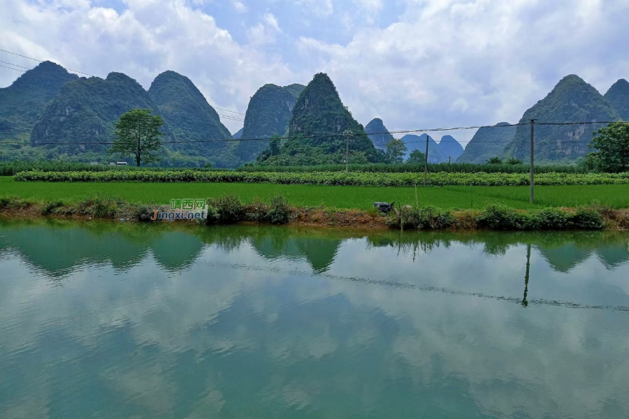 每日靖西图片8.23—龙潭河 - 靖西市·靖西网