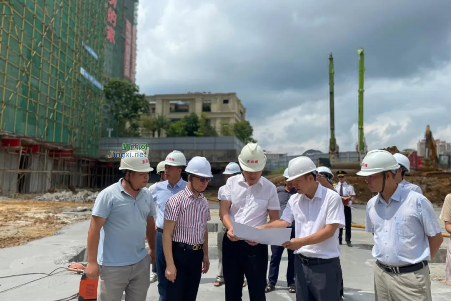 靖西市委副书记、副市长、代理市长华东莅临靖西天润城视察指导工作！ - 靖西市·靖西网