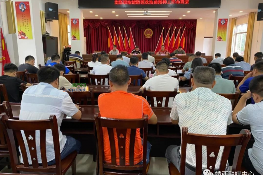 龙临镇：战“疫”前线 “志愿红”，我是党员我先上！ - 靖西市·靖西网