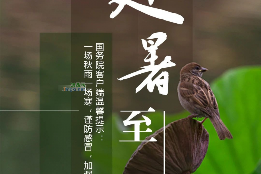 今日处暑 | 秋收始、渔船开，处暑是个有故事的节气 - 靖西市·靖西网