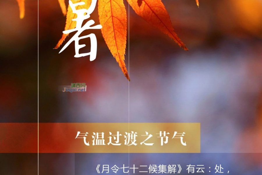 今日处暑 | 秋收始、渔船开，处暑是个有故事的节气 - 靖西市·靖西网