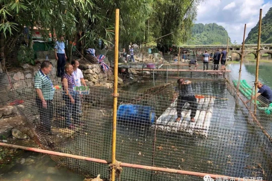 靖西市联合开展鹅泉景区“四乱”整治清理工作 - 靖西市·靖西网