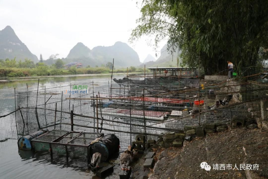 靖西市联合开展鹅泉景区“四乱”整治清理工作 - 靖西市·靖西网