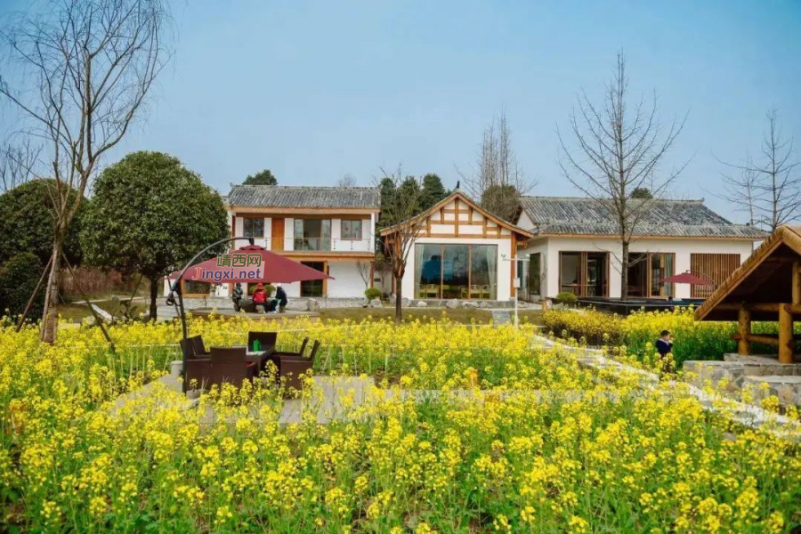 43项! 乡村振兴可申报的国家项目补助，全在这！ - 靖西市·靖西网