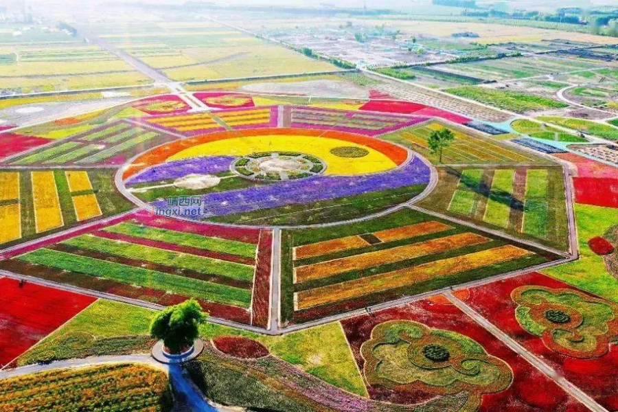 43项! 乡村振兴可申报的国家项目补助，全在这！ - 靖西市·靖西网