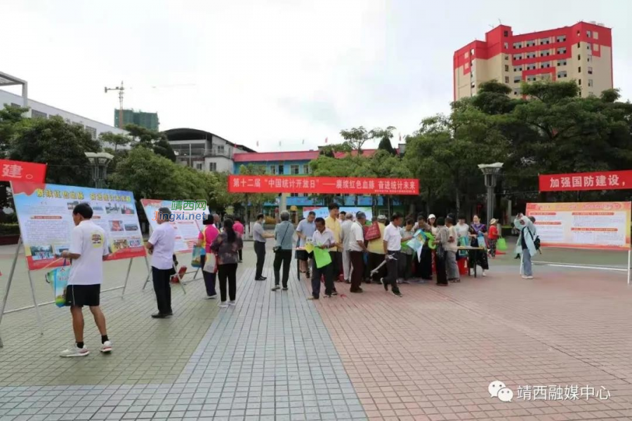 靖西市开展第十二届“中国统计开放日”活动 - 靖西市·靖西网